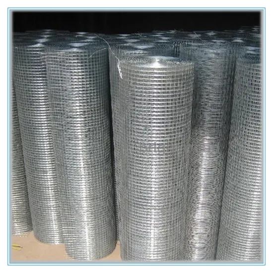 Galvanized / Plastic Coated / Protective / Welding / Hexagonal / Steel Wire Mesh