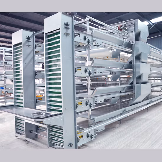 Venta caliente aves capacidad 1250 mm * 1000 mm * 2015 mm barato galvanizado en caliente avicultura un tipo 4 niveles colocación 3120/3075 equipo de granja avícola